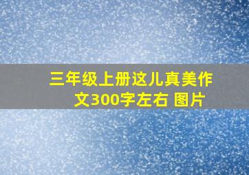 三年级上册这儿真美作文300字左右 图片